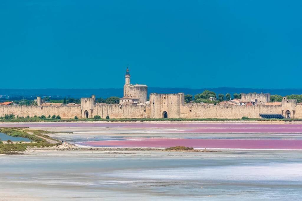 séjour insolite et écologique dans une Tiny house Aigues-Mortes Extérieur photo