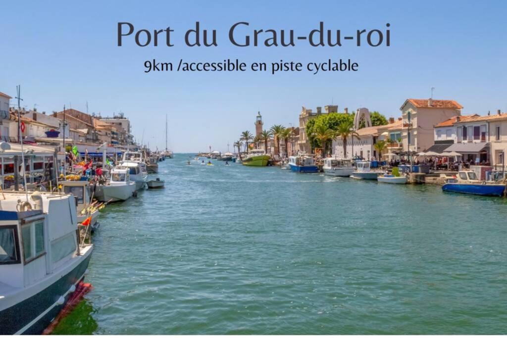 séjour insolite et écologique dans une Tiny house Aigues-Mortes Extérieur photo